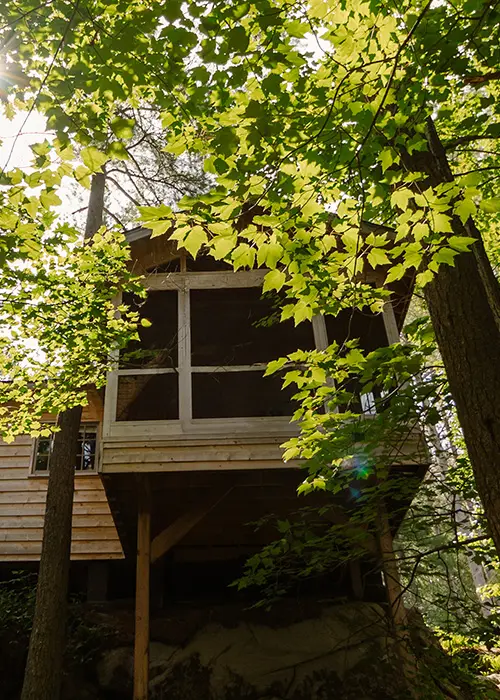 Wild Calm Retreat