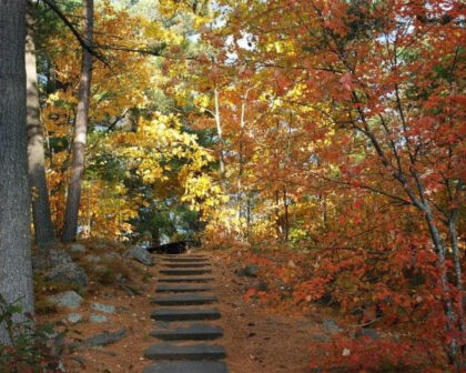 fall colors